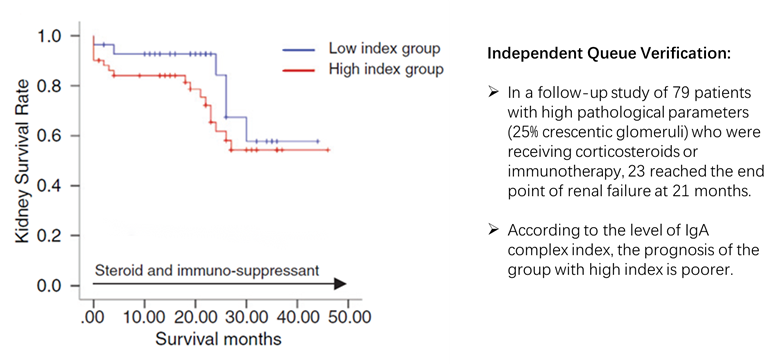 Comparison of survival rate of high/low IgA immune activity index populations (K-M curve)