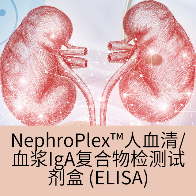 kidney