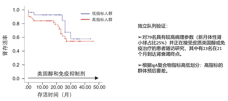 IgA免疫活动性指数高/低人群生存曲线对比(K-M曲线)
